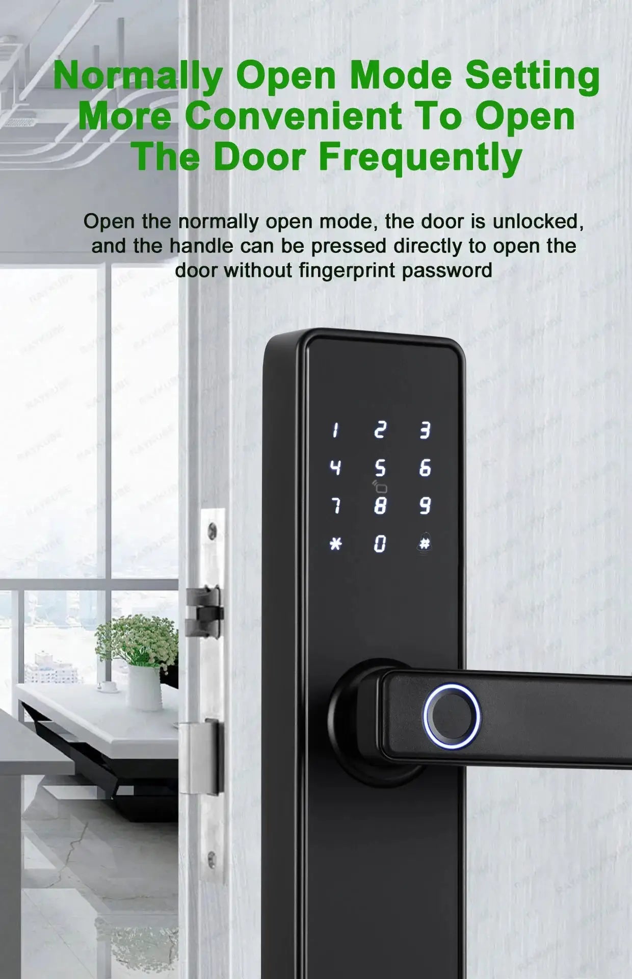 RAYKUBE K20 biometric smart door lock in black with illuminated numeric keypad and fingerprint reader