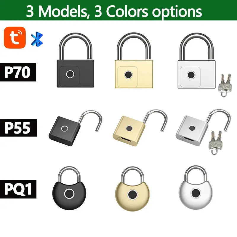 RAYKUBE Tuya smart padlocks P70/P55/PQ1, nine padlocks in black, gold and silver