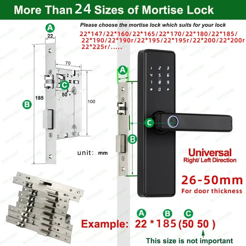 RAYKUBE K20 biometric smart door lock with fingerprint reader and keypad, black finish