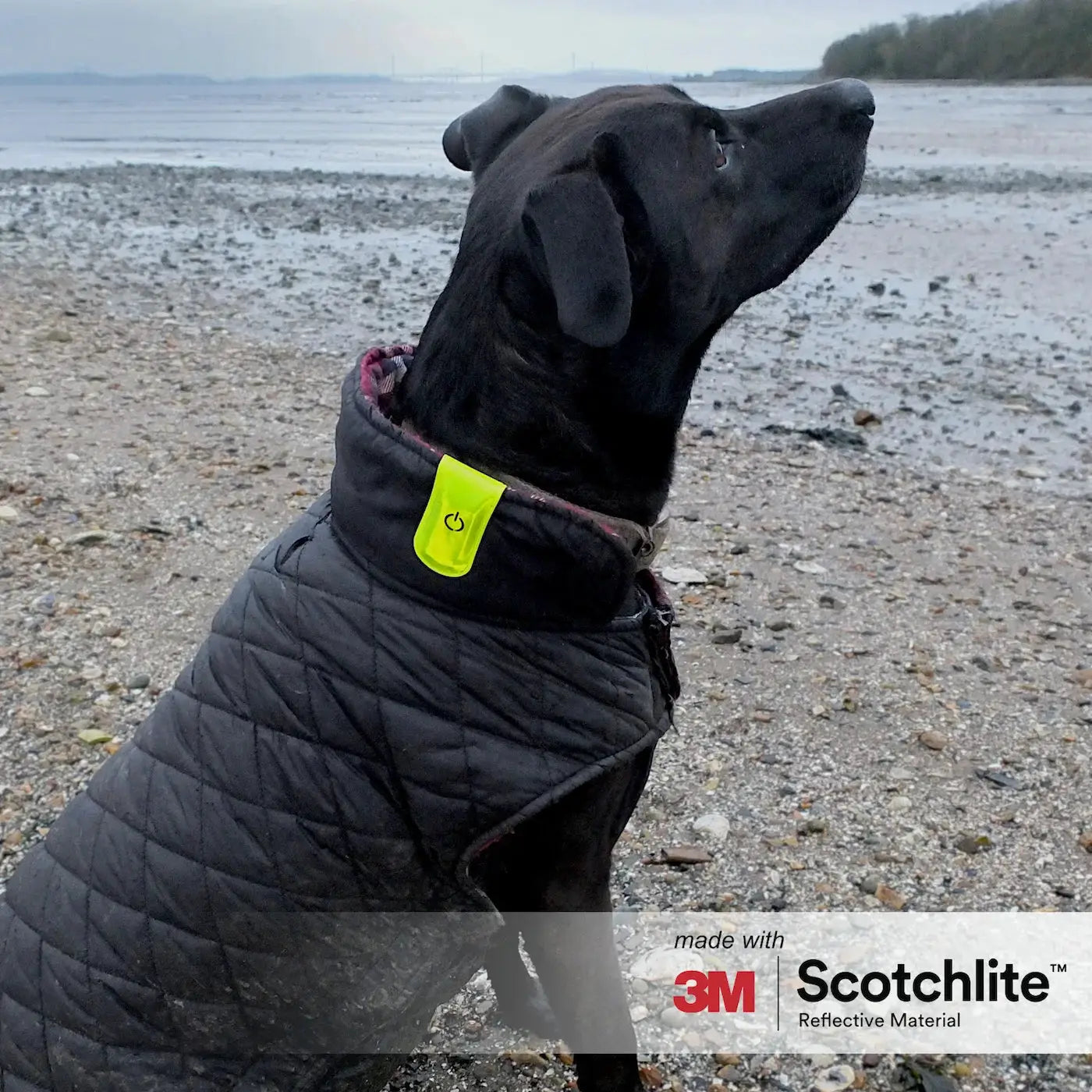 Salzmann Magnetic LED Clip With 3M Scotchlite Reflective Material And Four Ultra Bright LEDs For Enhanced Visibility