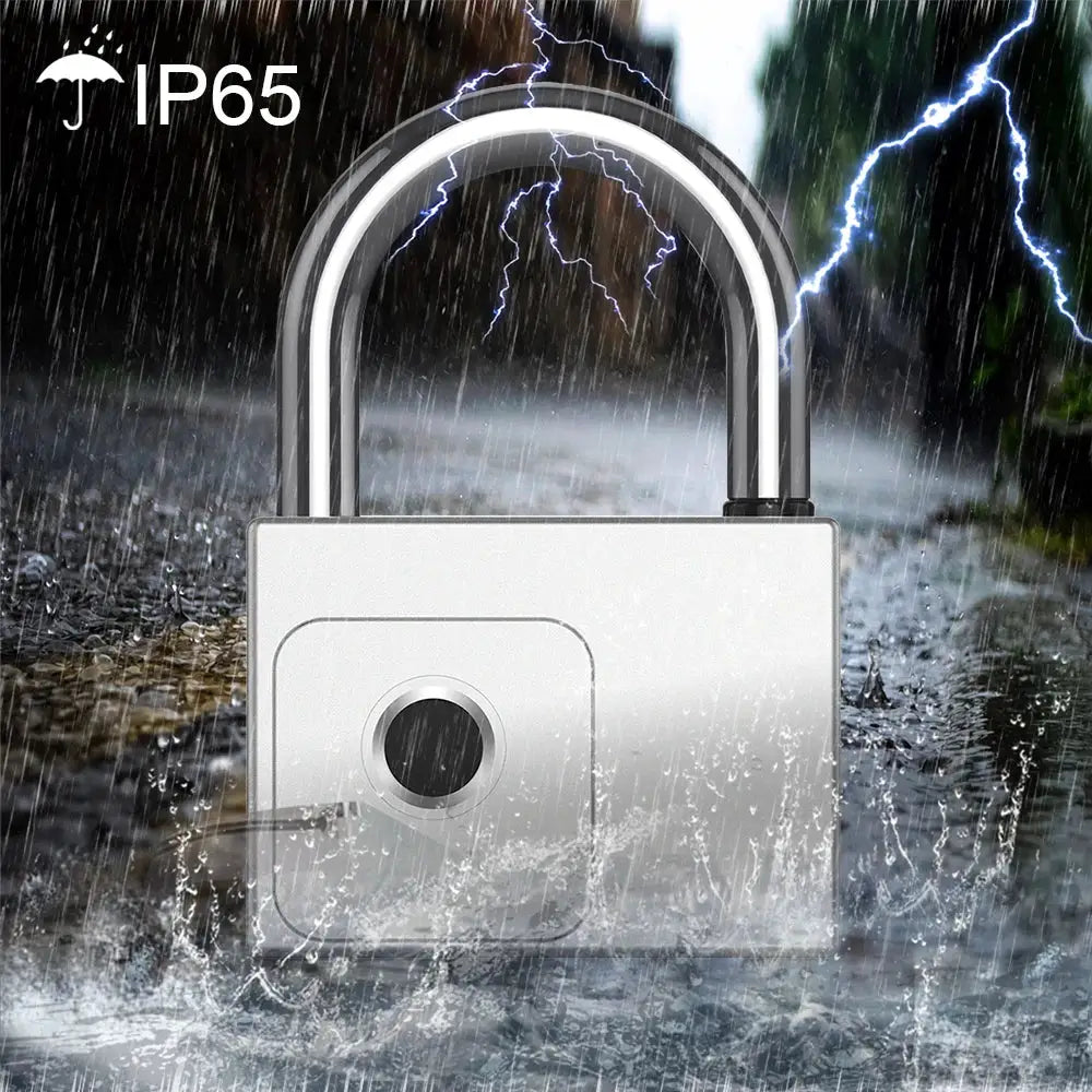 RAYKUBE Tuya Smart padlock; fingerprint sensor, waterproof IP65, USB charging, Simples Market