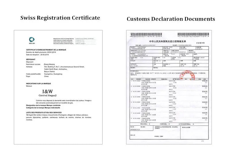 Two official documents: Swiss Registration Certificate and Customs Declaration Documents