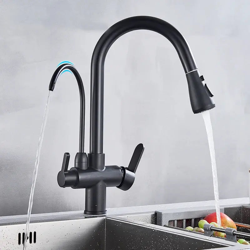 Matte black pull-out kitchen faucet with high-arc spout and side lever, plus separate filtered-water tap