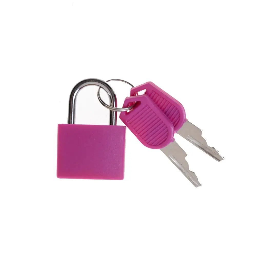 Pink mini steel padlock with two keys for travel security