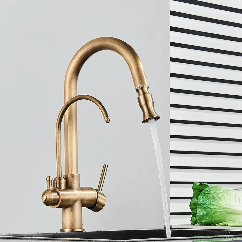 Rozin 2-in-1 antique brass kitchen faucet with pull-out nozzle and dual swivel taps