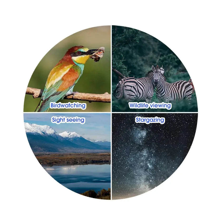 SVBONY SV47 bird watching telescope collage showing birdwatching, wildlife viewing, sightseeing and stargazing