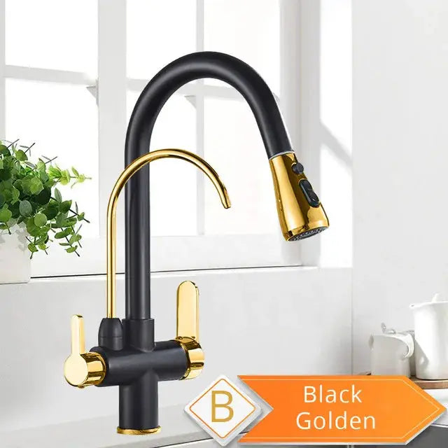 Rozin black and gold pull-out kitchen faucet with water filter and 3-way mixer