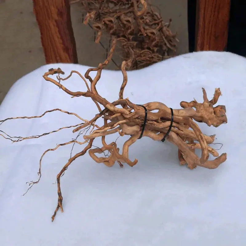 Natural Driftwood Root Trunk For Aquarium DIY Landscape Ornaments And Fish Tank Decor Supplies
