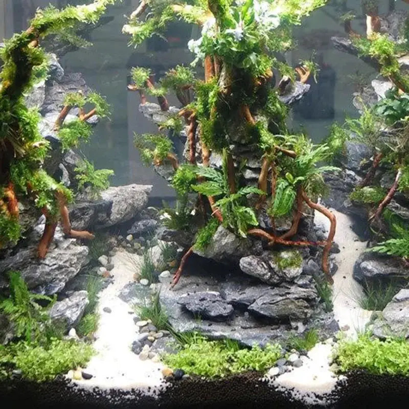 Natural Driftwood Root Trunk For Aquarium DIY Landscape Ornaments And Fish Tank Decor Supplies