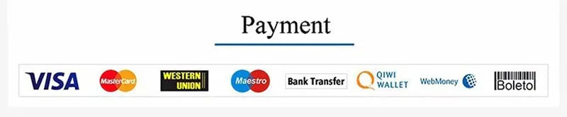 Payment methods banner displaying Visa, MasterCard, Western Union, Maestro, Bank Transfer, QIWI Wallet, WebMoney, Boleto