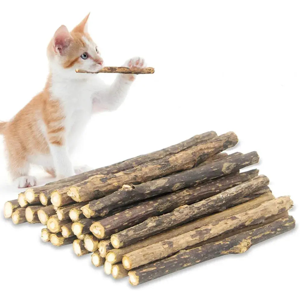 15-pack Simples Market matatabi silvervine cat chew sticks for teeth cleaning