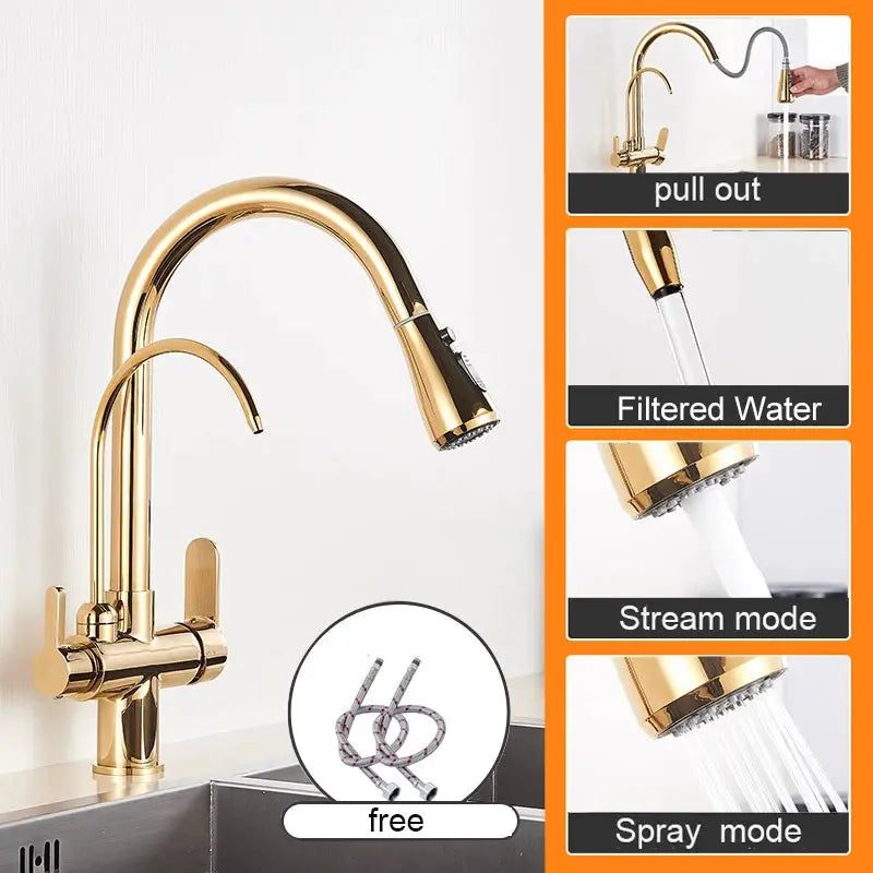 Gold-tone kitchen faucet with dual handles and pull-out spray; features filtered water and spray modes.