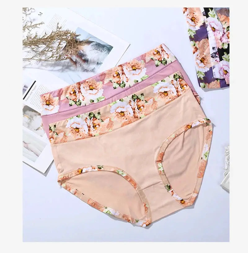 3-pack floral print women's briefs; plus-size underwear in pastel peach and pink tones with floral trim.