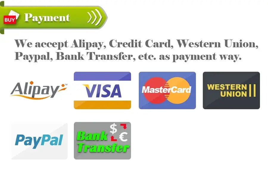 Car remote central locking system payment logos banner with Alipay, Visa, MasterCard, Western Union, PayPal, Bank Transfer