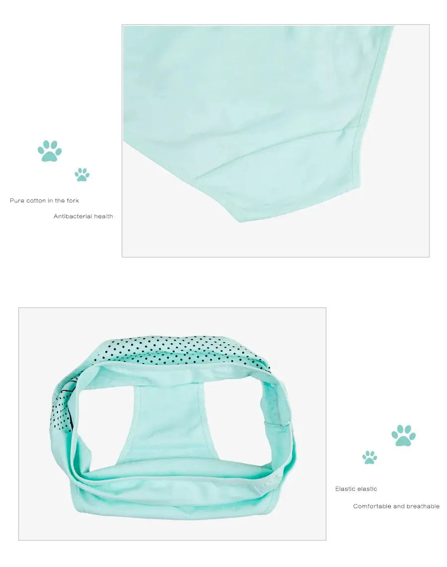 Women's cotton briefs mint green mid-rise, Simples Market, 2XL–6XL, 6-piece set