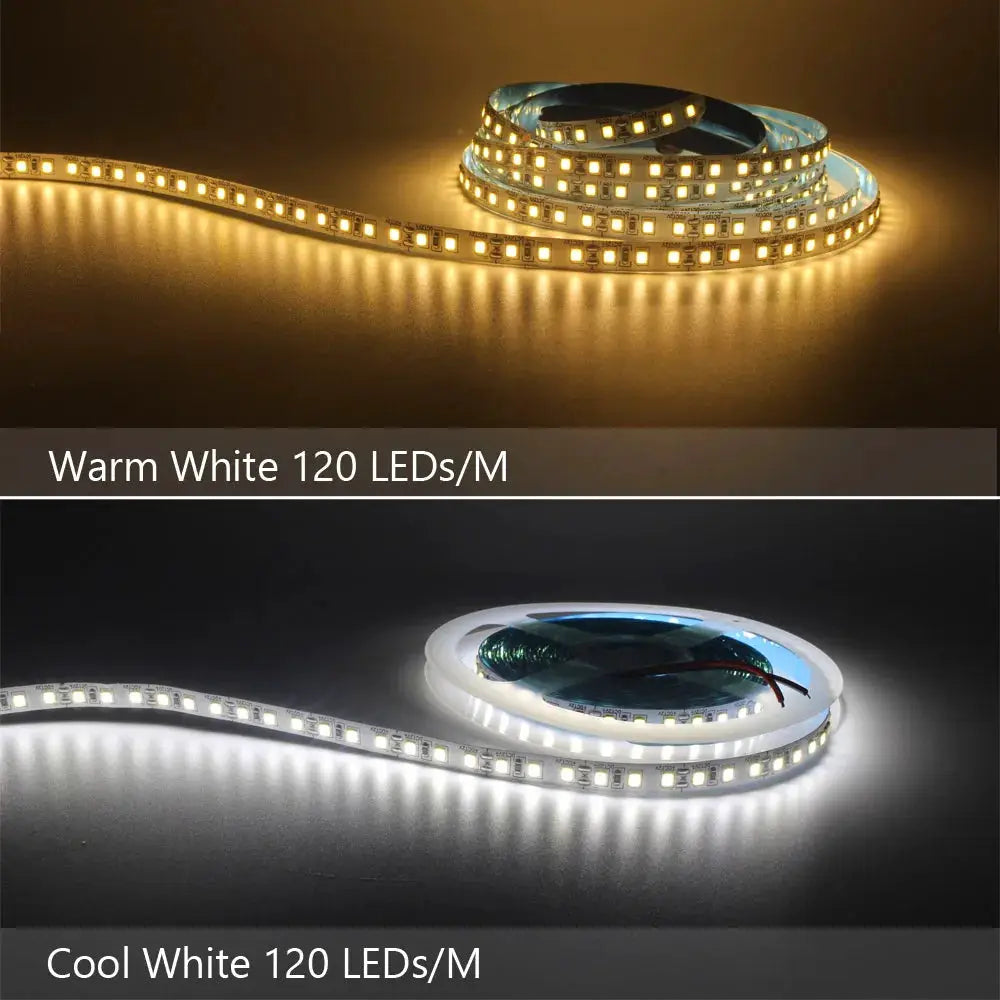 12V LED Strip SMD 2835 Warm White Flexible Tape Light 120 LED Per Meter 240 LED Per Meter Available in 1M 2M 3M 4M 5M
