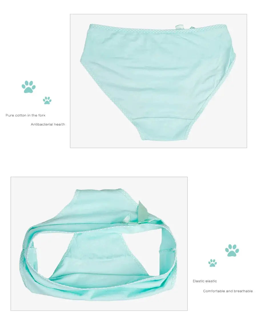 Women’s mint green cotton briefs with lace trim, mid-rise underwear from Simples Market