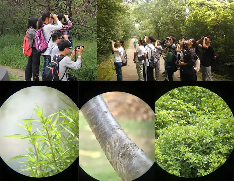 SVBONY bird-watching binoculars collage: hikers using binoculars among trees with close-up shots of leaves and bark.