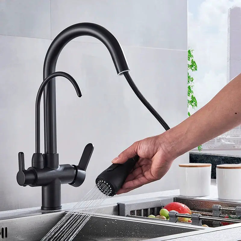 Matte black kitchen faucet with dual handles, hot and cold, pull-out spray head.