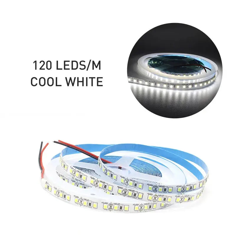 12V LED Strip SMD 2835 Warm White Flexible Tape Light 120 LED Per Meter 240 LED Per Meter Available in 1M 2M 3M 4M 5M