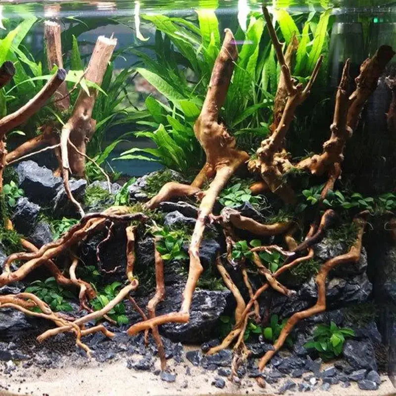 Natural Driftwood Root Trunk For Aquarium DIY Landscape Ornaments And Fish Tank Decor Supplies