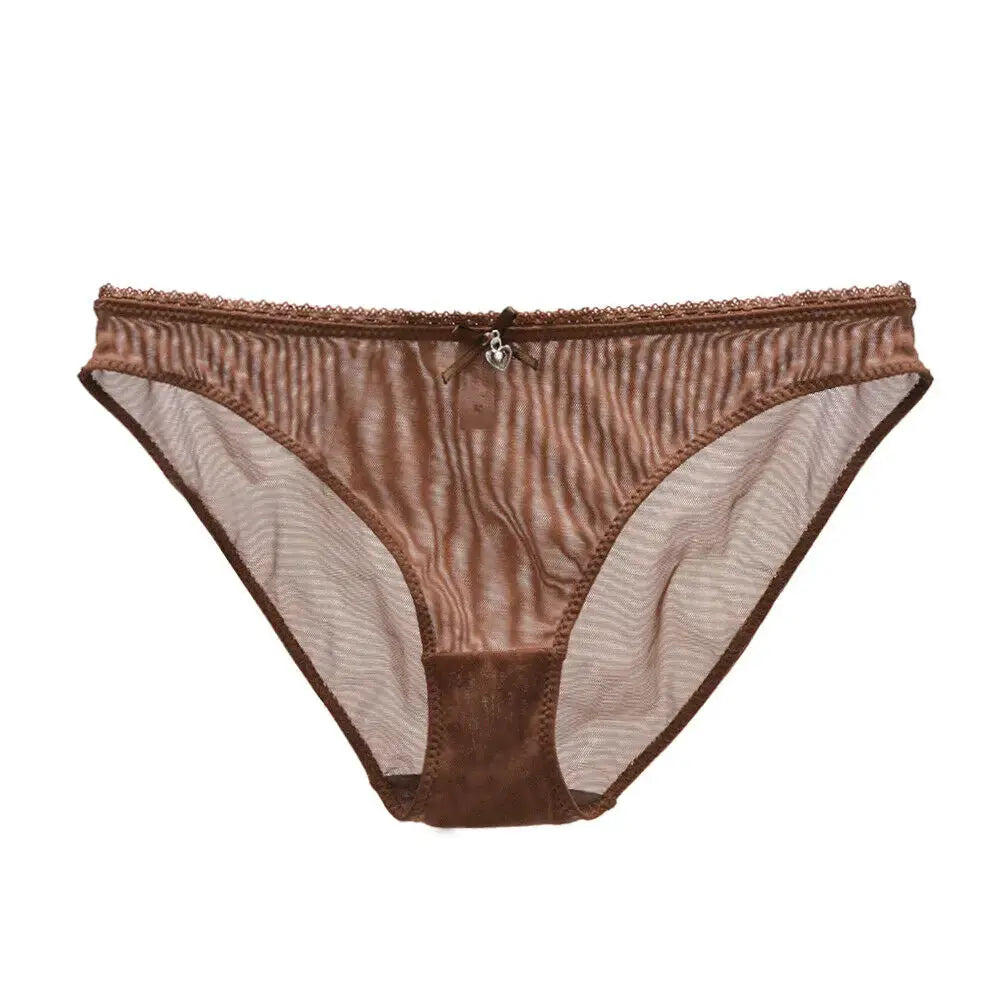 Brown sheer mesh panties with lace trim and small bow, see-through underwear
