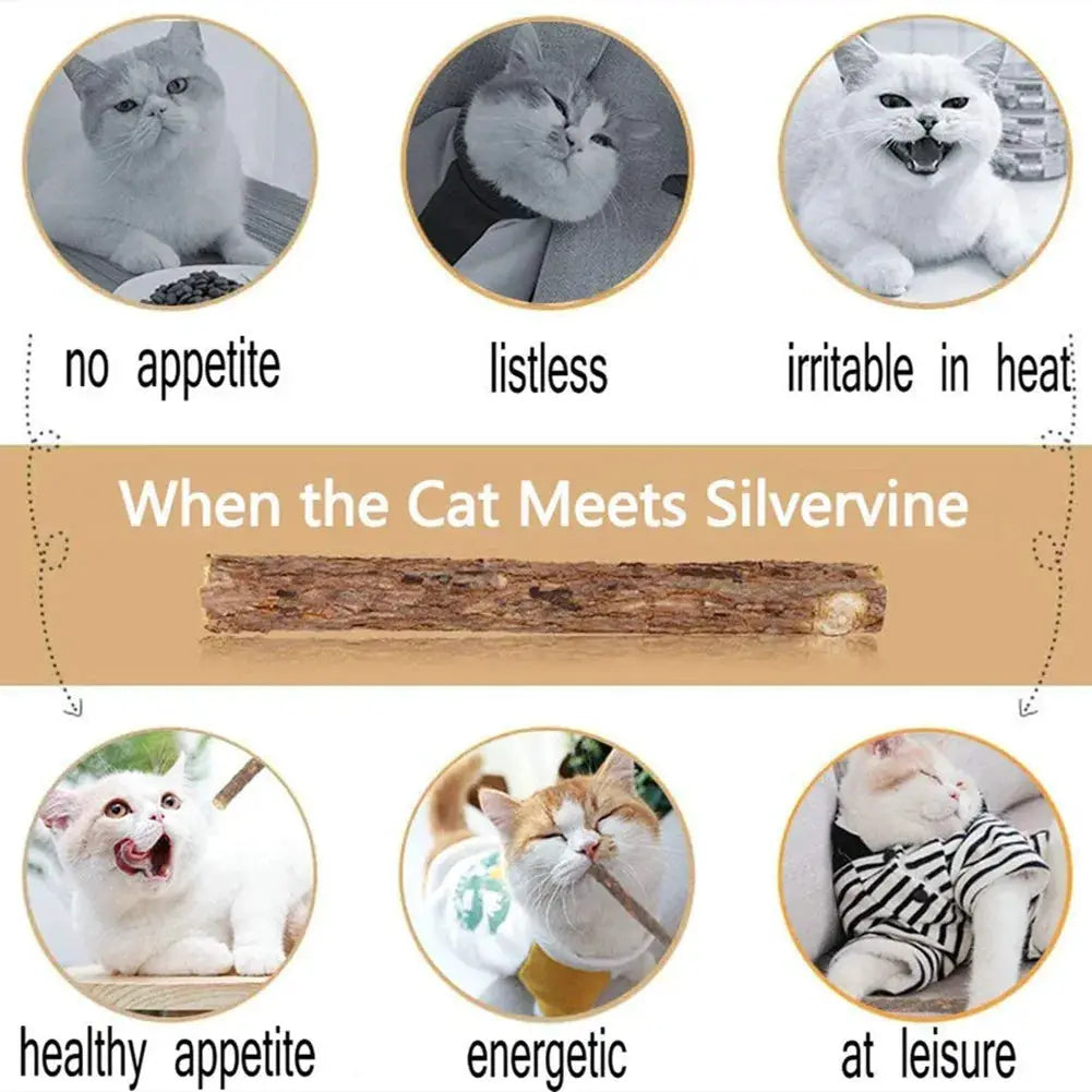 15pc natural matatabi cat toy kit by Simples Market with silvervine chews