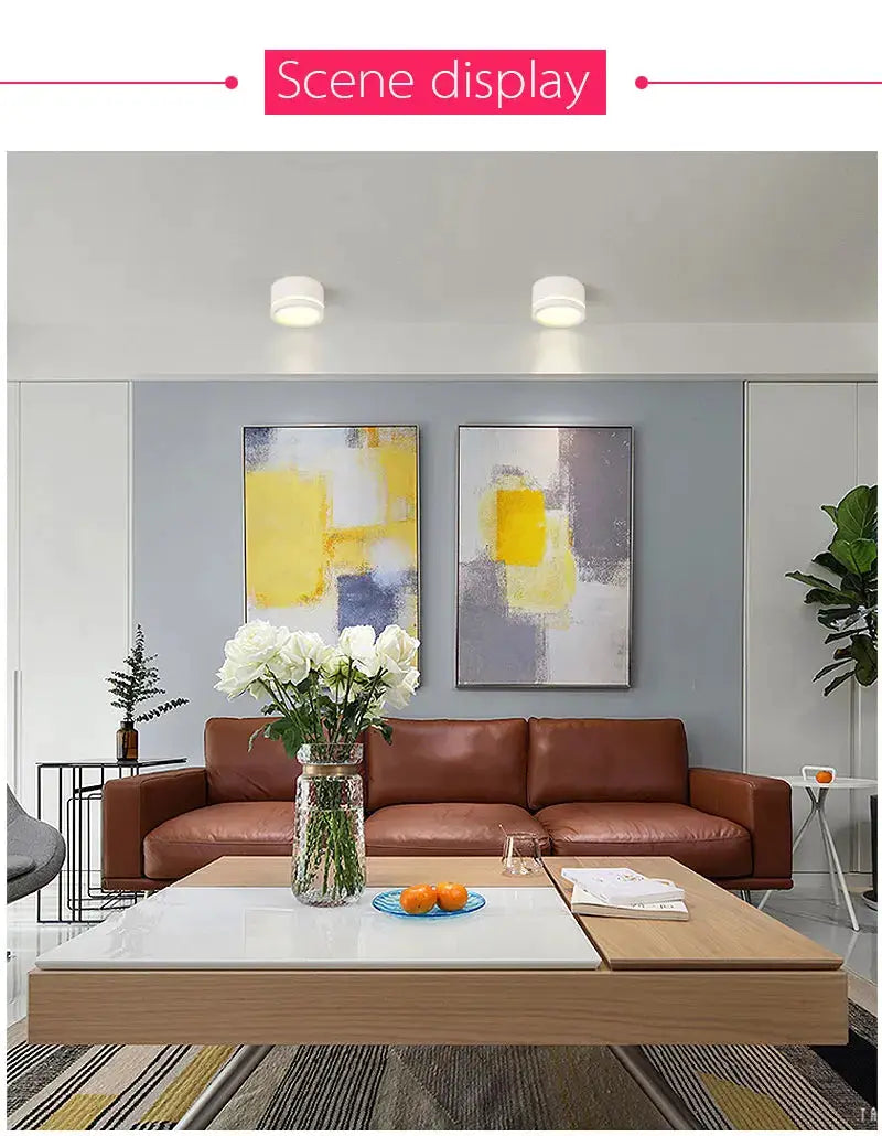 LED surface-mounted downlight, white ceiling fixture; two lights shown in a modern living room.
