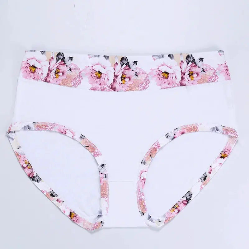 Panties by Simples Market, white briefs with pink floral waistband trim, plus-size