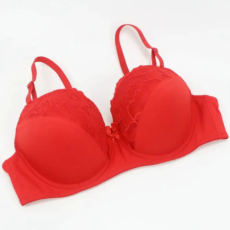 Red lace push-up underwired bra with floral cups and center bow