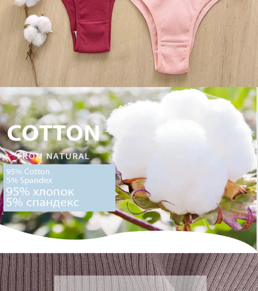 Simples Market 5PCS cotton panties set for women in assorted colors; briefs, tangas, thongs, bikinis