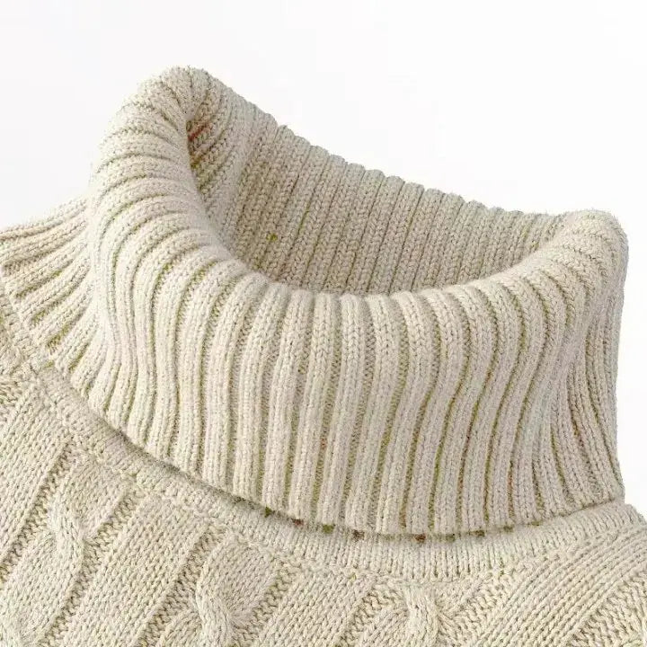 Men's Turtleneck Sweater Rollneck Knitted Jumper Casual Warm Winter Polyester Acrylic Blend