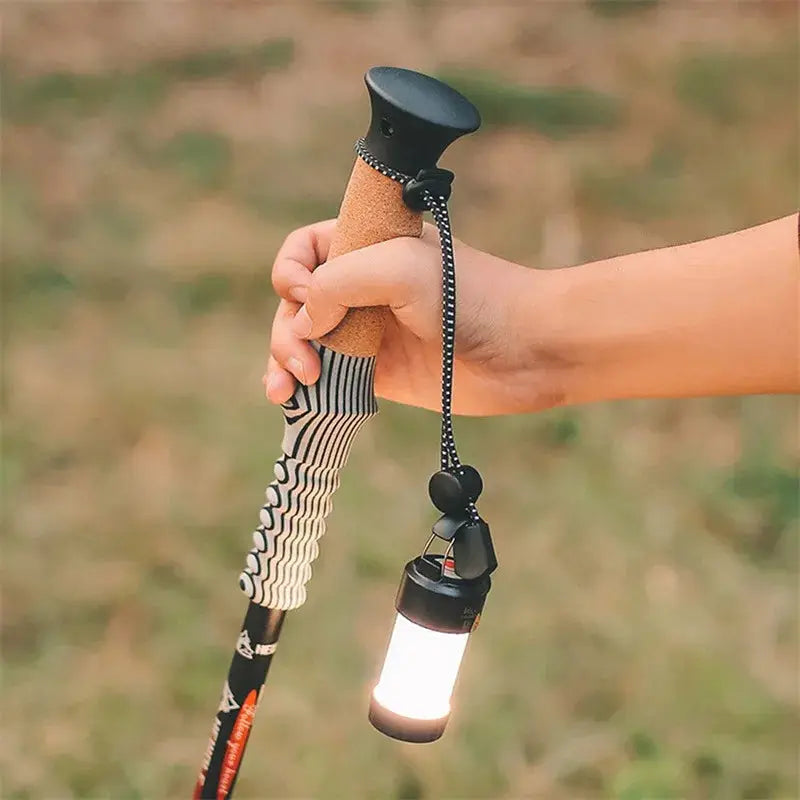 Elastic rope trekking pole holder; black cord attached to cork-handle hiking pole