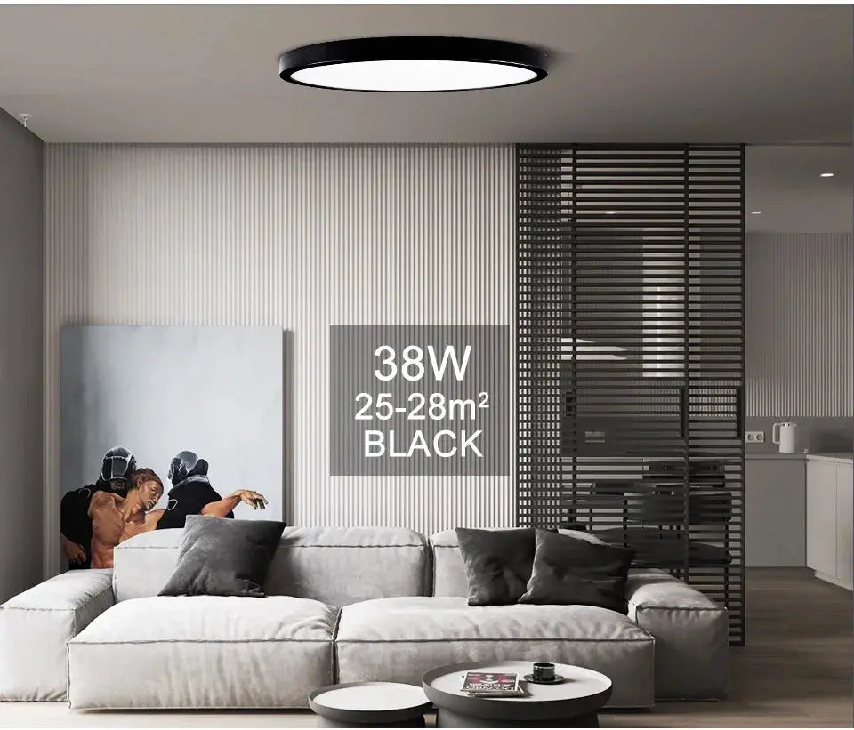 MARPOU 2cm ultra-thin LED ceiling light, black circular fixture with white diffuser for indoor modern lighting