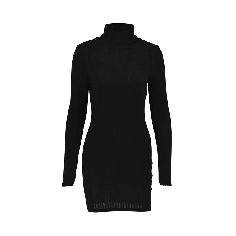Autumn Winter Women Turtleneck Solid Knitted Bodycon Mini Dress Party