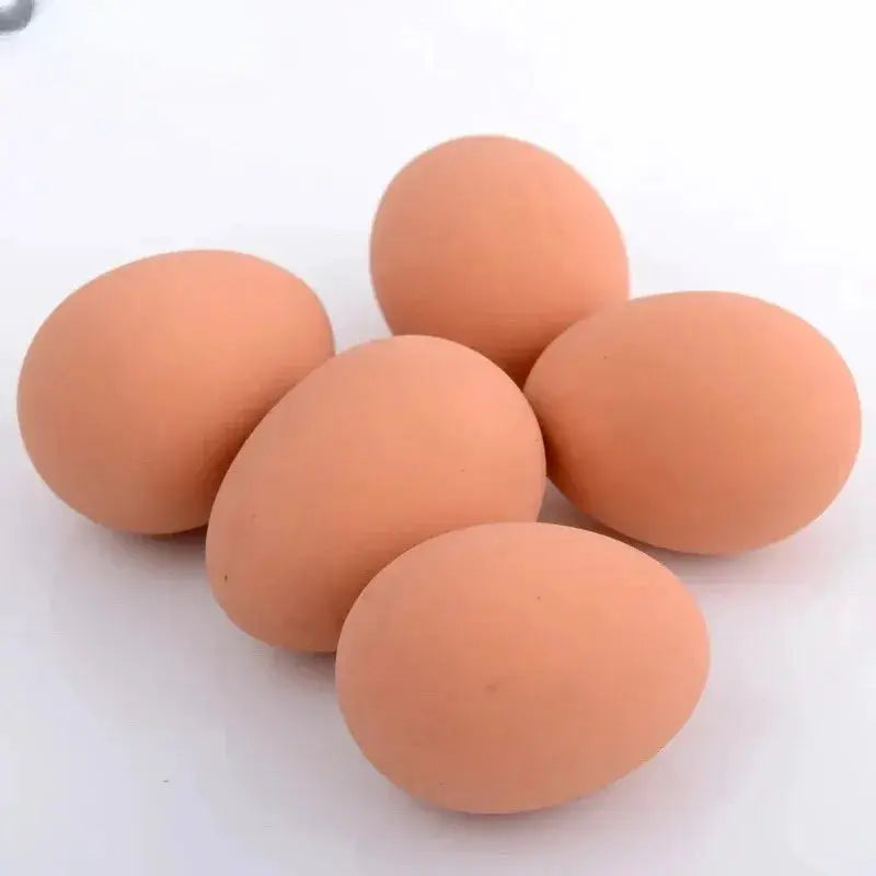 Novelty Bouncy Eggs Realistic Fake Rubber Bouncing Balls For Pranks And Pet Toy Farm Chicken Nesting Egg