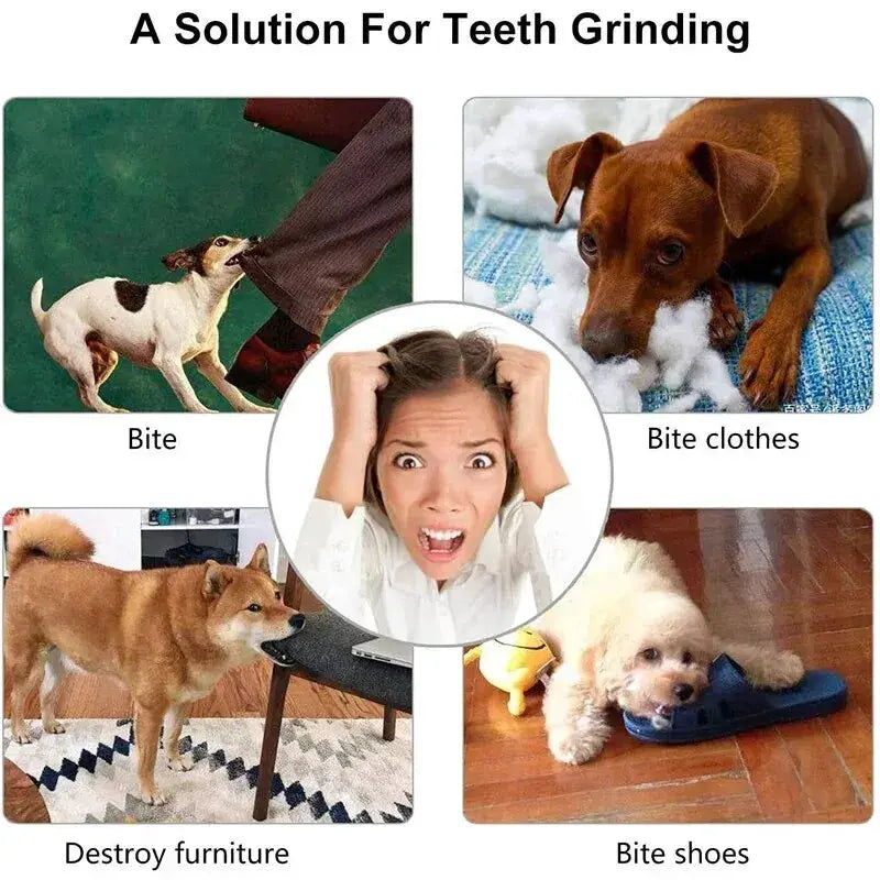 Nontoxic Bite Resistant Dog Ball Toy For Dogs And Cats Treat Dispenser Chew Toy Dental Cleaning Ball