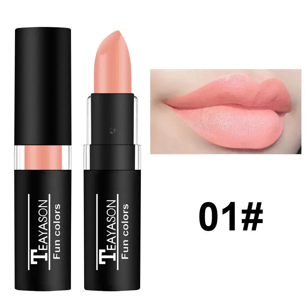 12 Color Matte Lipstick Set Waterproof Long Lasting Lip Color Red Black Blue Purple Green