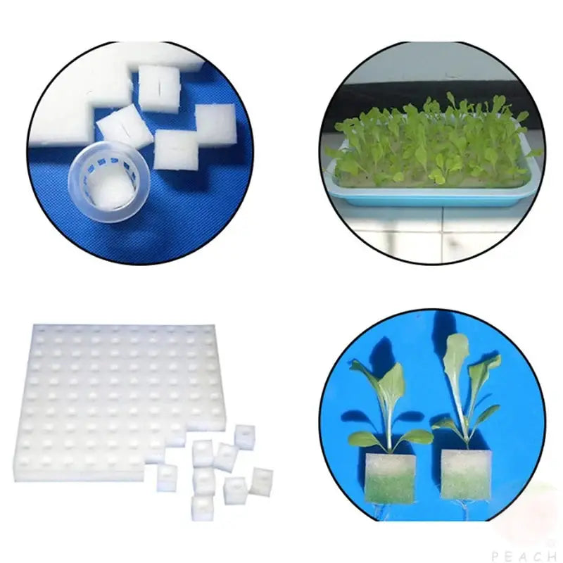 Hydroponic Seedling Sponge Plugs 100 Pcs Per Sheet For Soilless Cultivation Garden Nursery Pots Trays