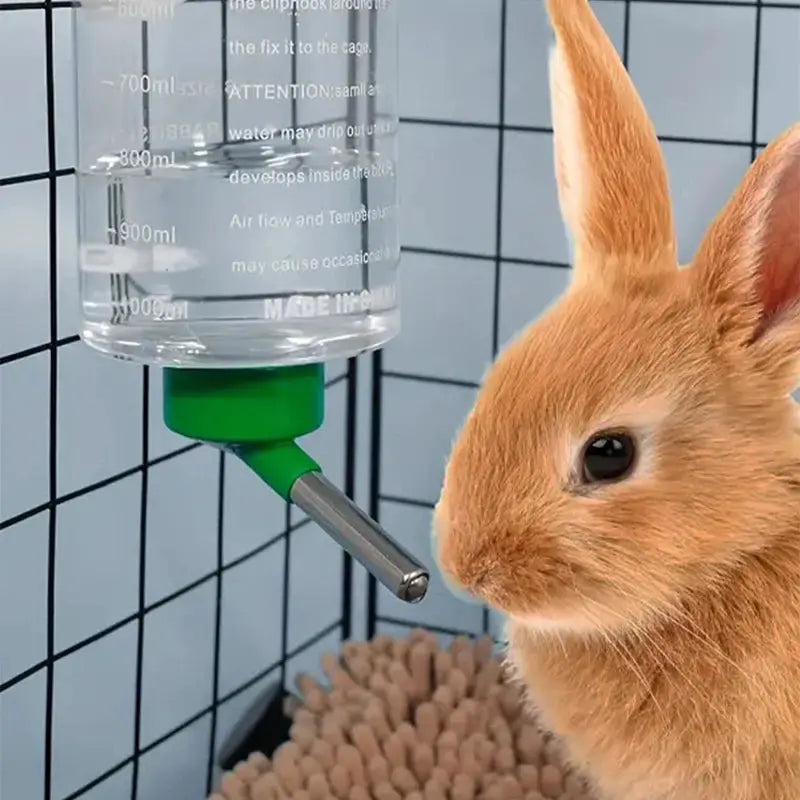 1pc small animal hangable water bottle with green nozzle, 1000ml, beside a rabbit