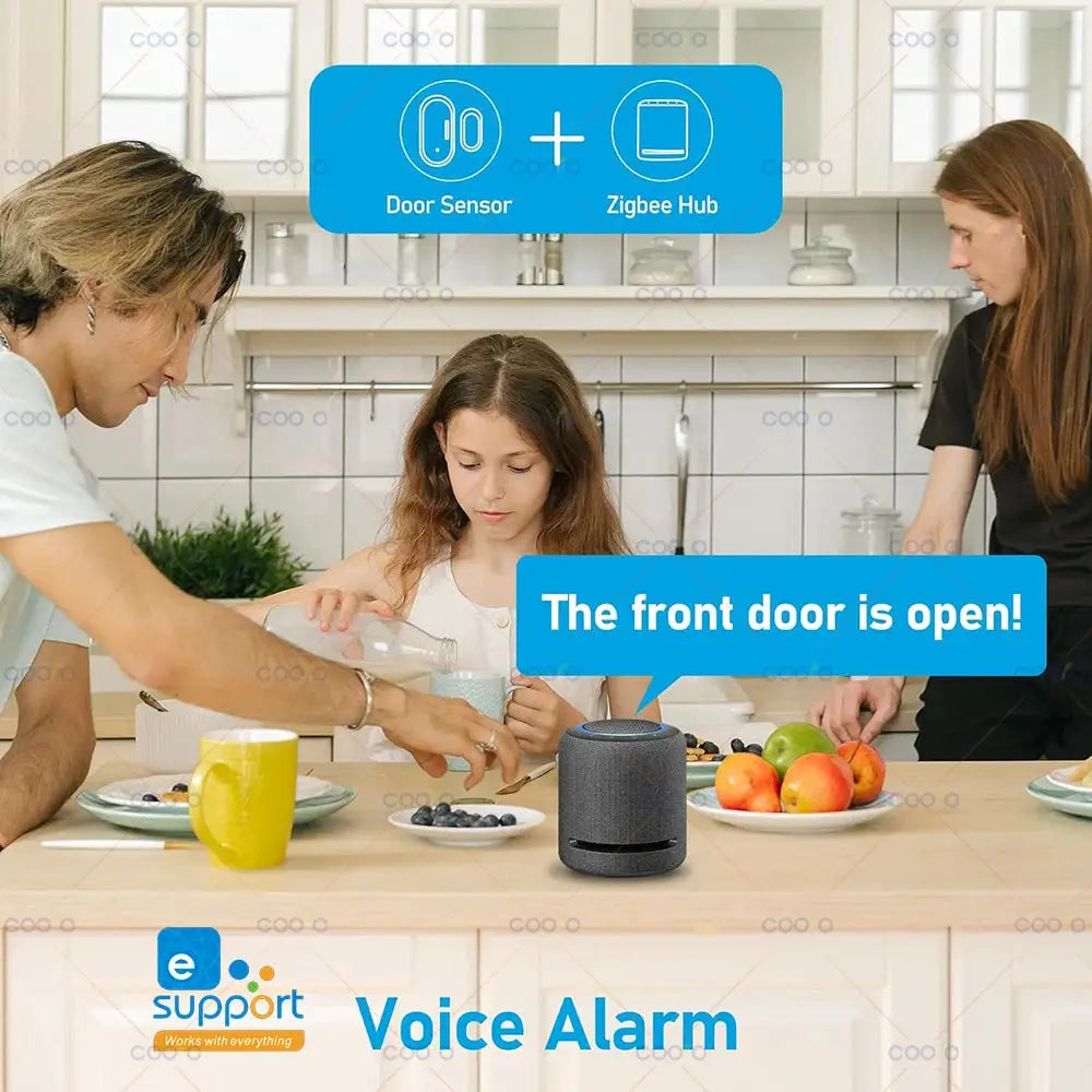 Door sensor with Zigbee hub by eSupport; voice alarm shows The front door is open.