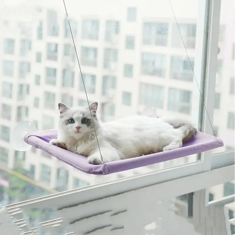 Purple window-mounted hanging cat hammock bed that supports up to 20 kg.