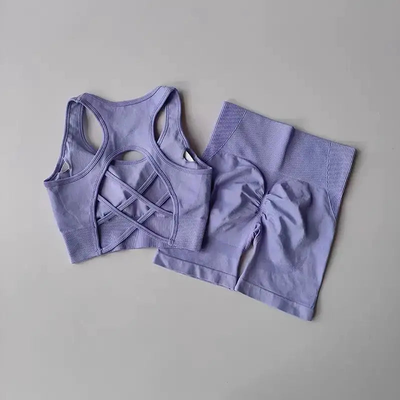 ZenFlex Seamless Yoga Set for Women Breathable Quick Dry Two Piece High Waist Bra and Shorts