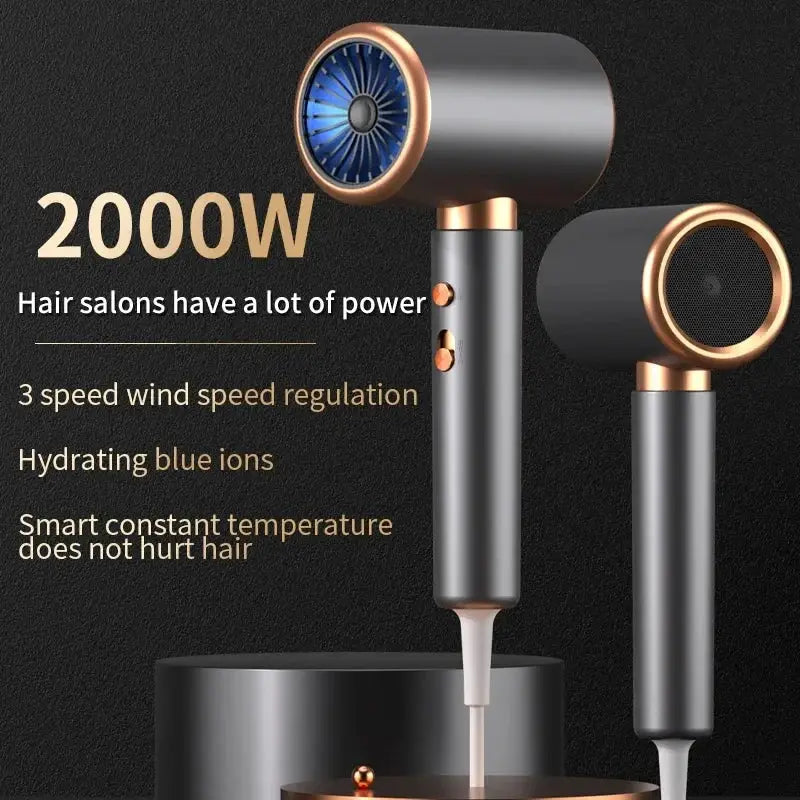 HOMEFISH 2000W salon hair dryer by Simples Market with blue ion technology and gold-accented body