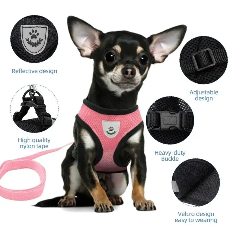Adjustable Polyester Mesh Cat Harness Vest And Leash Set For Small To Medium Dogs And Cats With Reflective Piping