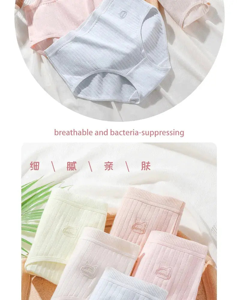 Women's cotton panties by Simples Market; high-waist, antibacterial, pastel colors (white, pink, green, beige).