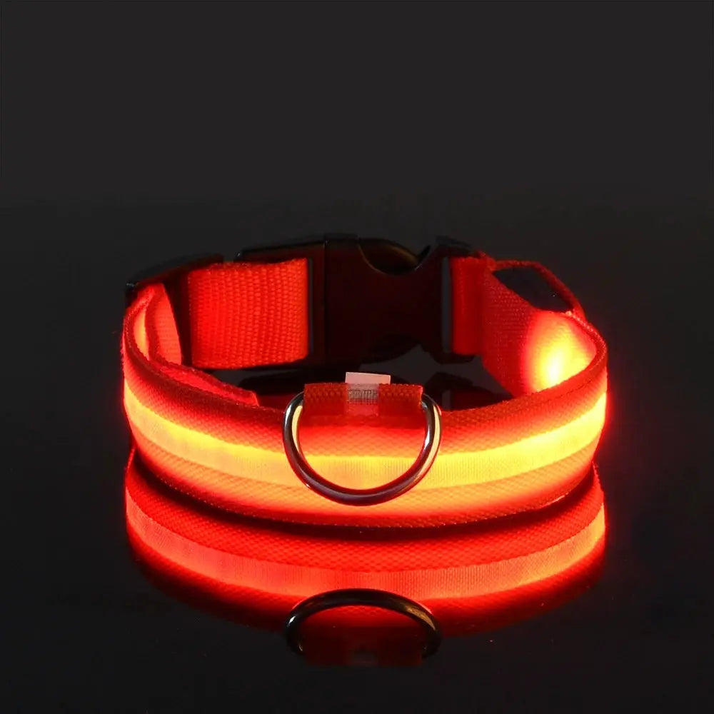 Nylon LED Night Safety Dog Leash And Collar With Flashing Glow In The Dark Luminous Fluorescent