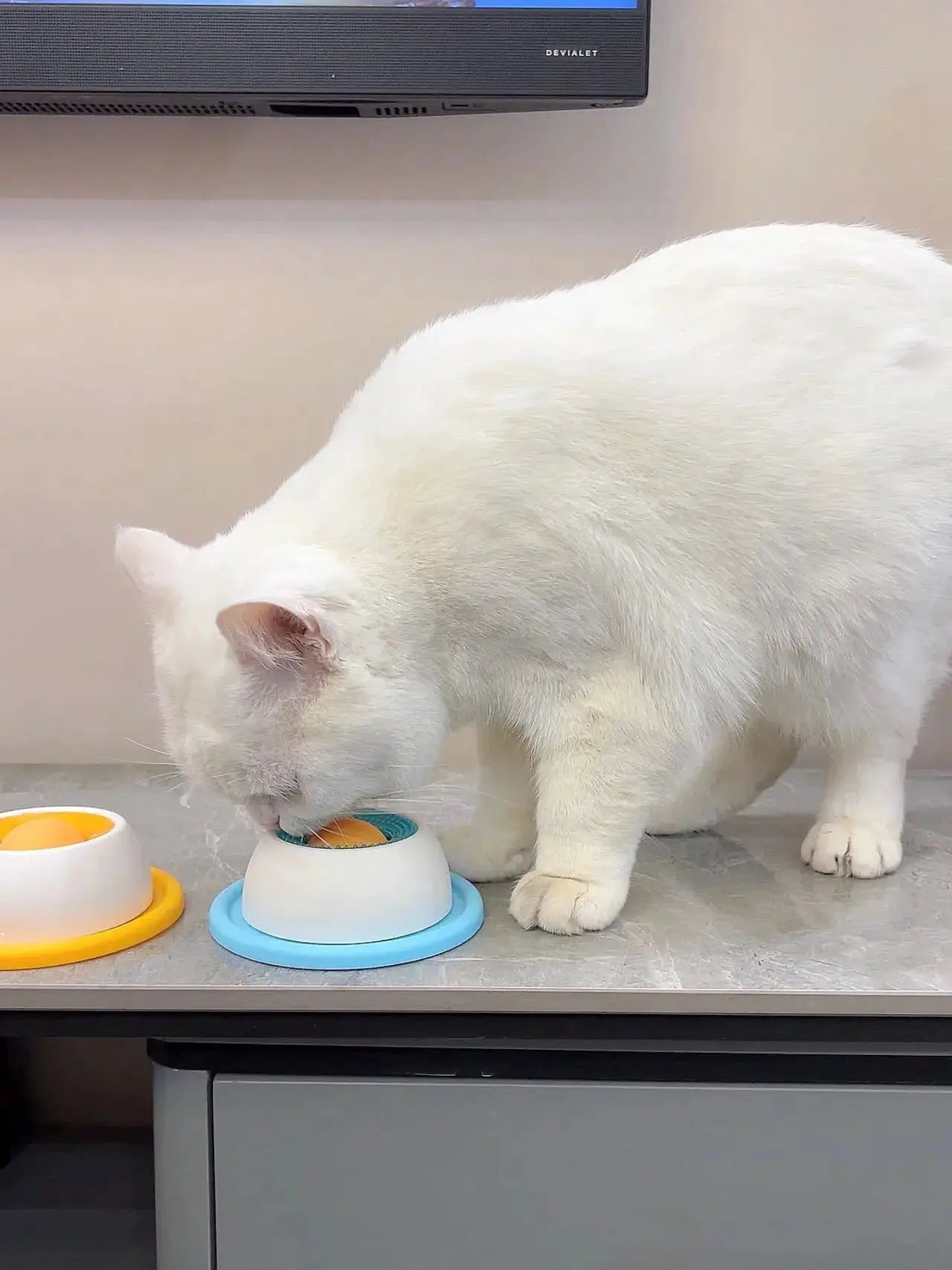Lick Toys for Dogs slow-feeder bowls set by Simples Market; white bowls with blue and yellow bases (2 bowls), cat nearby.