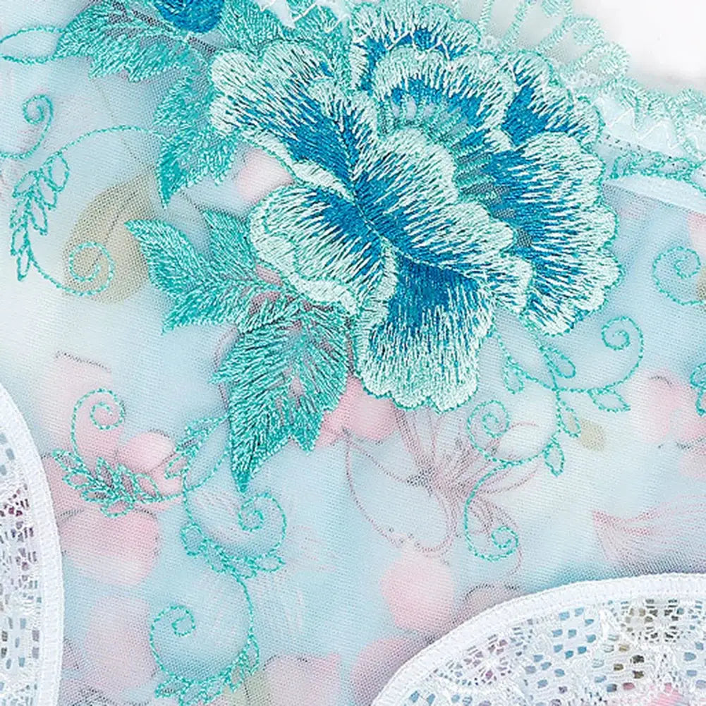 Simples Market lace briefs underwear, nylon panties with blue floral embroidery on sheer fabric