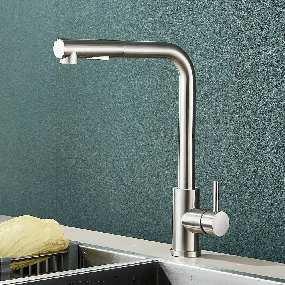 Rozin stainless steel kitchen faucet with high-arc spout and pull-out spray head